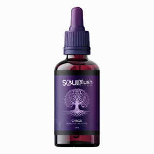 Extrato 30ml - Cogumelo Chaga