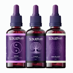 Kit 3 unidades de 30ml - Juba de Leão + Reishi + Chaga