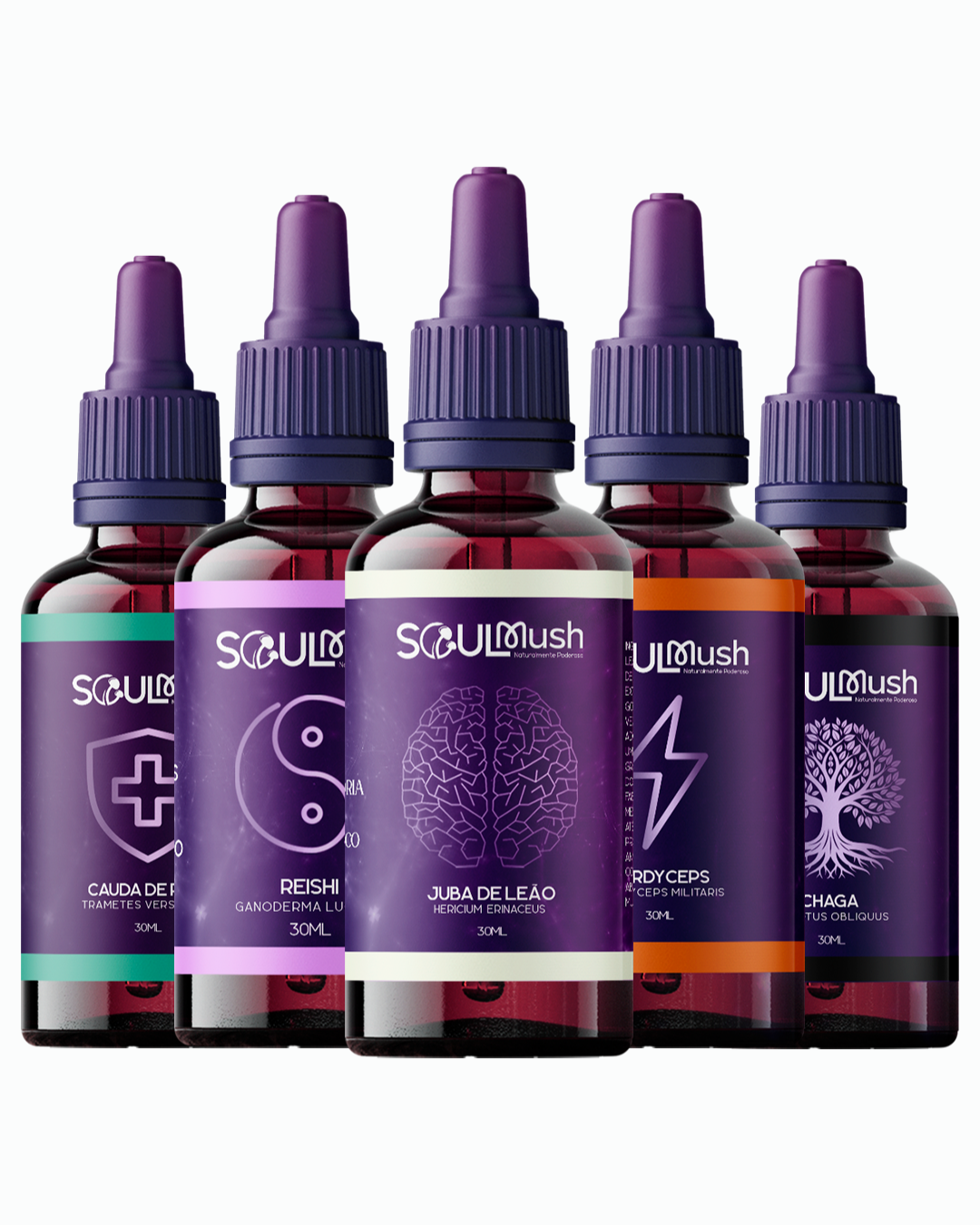 Kit 5 unidades de 30ml - Cauda de Peru + Cordyceps + Juba de Leão + Reishi + Chaga